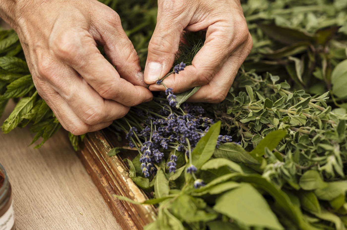 Chef Paolo Dalicandro selecting fresh aromatic herbs harvested from his private garden