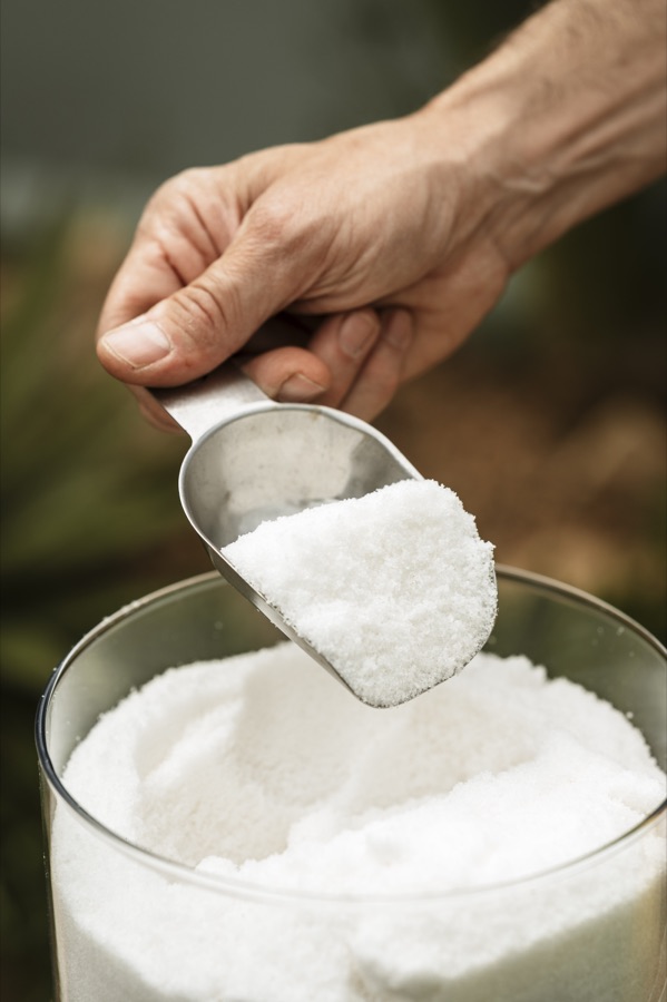 Hand-harvested sea salt from Trapani salt pans, core ingredient of Chef Dalicandro wedding favours